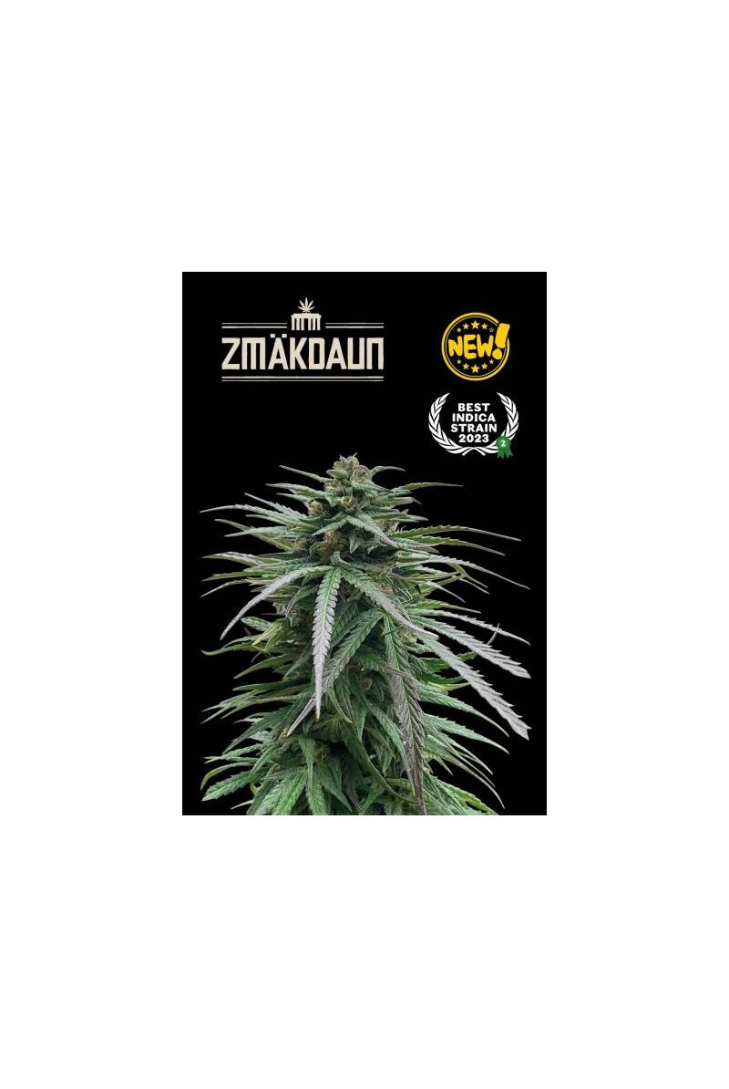 Zmäkdaun, Фасовка: 1